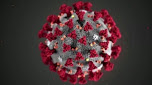 coronavirus photo